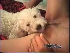 Cute dog licking a girl's pussy until orgasm zoo xxx